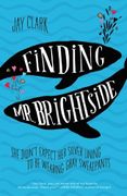 Finding Mr. Brightside (en Inglés)