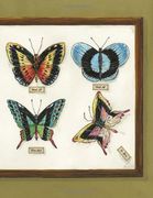 Mome Spring 2011: Vol. 22 (en Inglés)