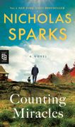 Counting Miracles: A Novel