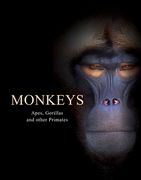 Monkeys: Apes, Gorillas and Other Primates (en Inglés)