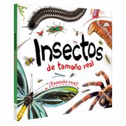 Insectos de tamaño real