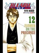BLEACH N.12
