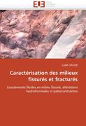 Caracterisation Des Milieux Fissures Et Fractures