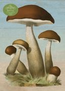 John Derian Paper Goods: Mushrooms 1,000-Piece Puzzle (en Inglés)