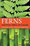 Ferns and Fern Allies of Canada 