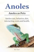 Anoles. Anoles as Pets. Anoles Care, Behavior, Diet, Interacting, Costs and Health.