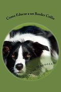 Como Educar a un Border Collie