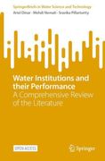 Water Institutions and their Performance: A Comprehensive Review of the Literature (en Inglés)