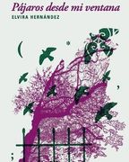 Pajaros Desde mi Ventana