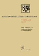 Natur-, Ingenieur- und Wirtschaftswissenschaften: Vorträge N 377 (German Edition)