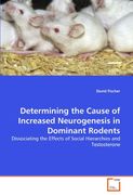 determining the cause of increased neurogenesis in dominant rodents (en Inglés)