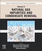 Advances in Natural Gas: Formation, Processing, and Applications. Volume 5: Natural gas Impurities and Condensate Removal (Formation, Processing and Applications, 5) (en Inglés)