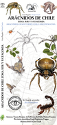 Arácnidos de Chile Zona Sur y Patagonia