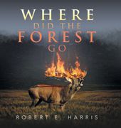 Where did the Forest go (en Inglés)