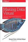 Making Sense of Data: Designing Effective Visualizations (en Inglés)