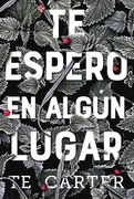 Te Espero En Algún Lugar