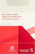 estudios sobre derecho procesal constitucional
