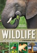 Wildlife of South Africa: A Photographic Guide (en Inglés)