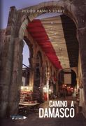 Camino a Damasco