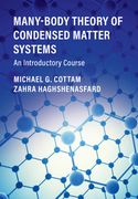 Many-Body Theory of Condensed Matter Systems: An Introductory Course (en Inglés)