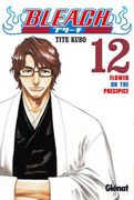 Bleach 12 (Shonen Manga)