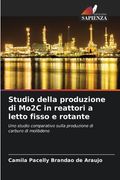 Studio della produzione di Mo2C in reattori a letto fisso e rotante (en Italiano)