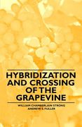 hybridization and crossing of the grapevine (en Inglés)