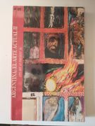 Argentina: El arte actual II - (Its art at present II) (en Bilingue)