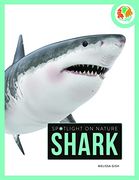 Spotlight on Nature: Shark 