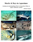 Sharks & Rays in Aquariums: Gaining an understanding of how to keep these fishes in captive saltwater systems