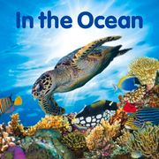 In the Ocean (en Inglés)