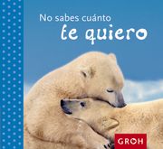 No Sabes Cuánto te Quiero (Minis) - Groh - Libro Físico