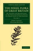 The Fossil Flora of Great Britain 3 Volume Set: The Fossil Flora of Great Britain: Or, Figures and Descriptions of the Vegetable Remains Found in a. Library Collection - Earth Science)