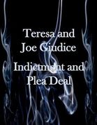 Teresa and Joe Guidice Indictment and Plea Deal (en Inglés)