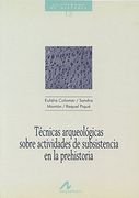 Técnicas arqueológicas sobre actividades de subsistencia en la prehistoria (Cuadernos de historia)