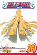 bleach 36