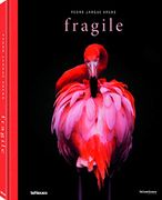 Fragile (libro en Inglés)