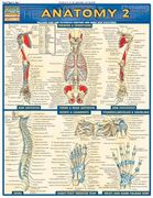 anatomy 2 quick study reference guide