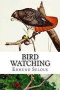 Bird Watching (en Inglés)