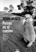 Perros en el camino (in Spanish)
