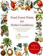 Food Forest Plants for Hotter Conditions: 250+ Perennial Plants For Tropical and Sub-Tropical Food Forests and Permaculture Gardens (en Inglés)