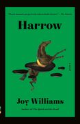 Harrow: A Novel (Vintage Contemporaries) (en Inglés)