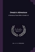 Owain's Adventure: A Romance Poem With A Smile In It (en Inglés)