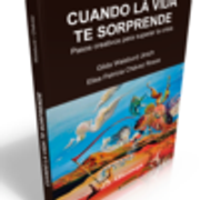 CUANDO LA VIDA TE SORPRENDE – Pasos creativos para superar la crisis