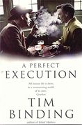 A Perfect Execution (en Inglés)