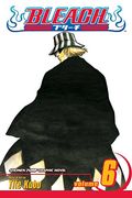 bleach 6 (en Inglés)
