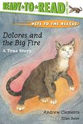 dolores and the big fire,a true story (en Inglés)