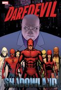Daredevil: Shadowland Omnibus Cassaday Cover [New Printing] (en Inglés)