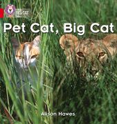 Pet Cat, Big Cat: Red / Band 2a (en Inglés)
