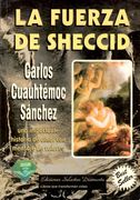 La Fuerza de Sheccid: Una Impactante Historia de Amor con Mensaje de Valores (in Spanish)